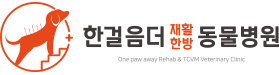 한걸음더 재활한방 동물병원